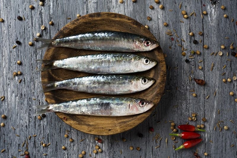 what-are-sardines