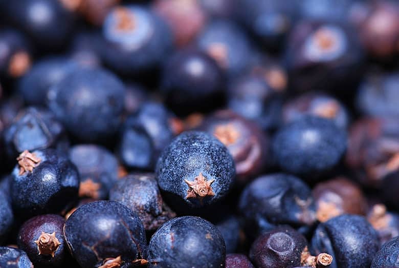 huckleberries recipes to try