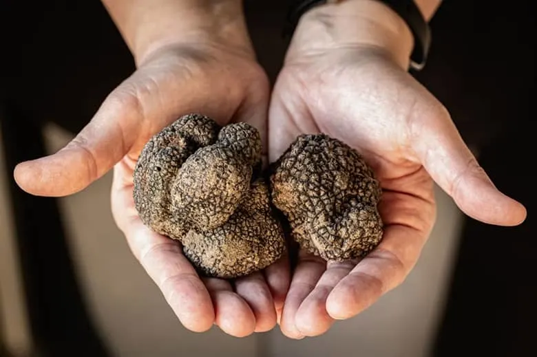 benefits of eating truffles