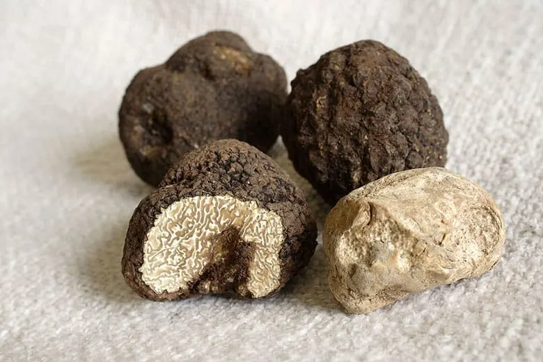 black vs white truffles