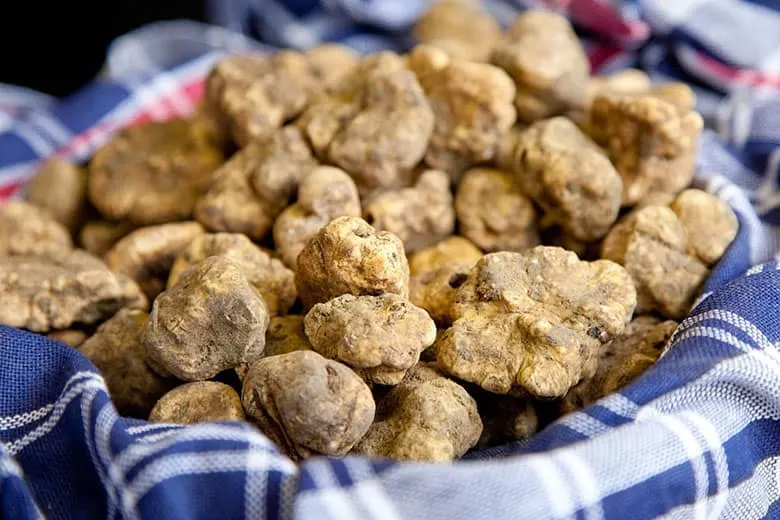where to buy truffles