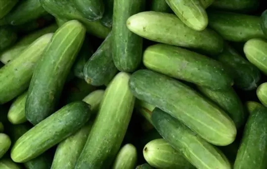 can you freeze whole cucumbers