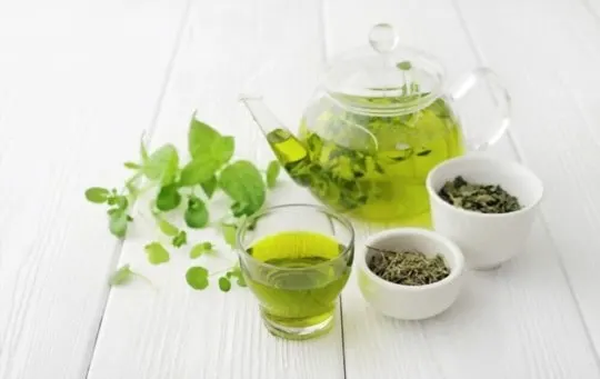 health and nutritional benefits of green tea