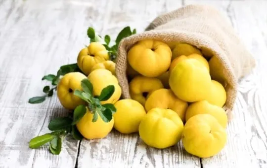 health and nutritional benefits of quince