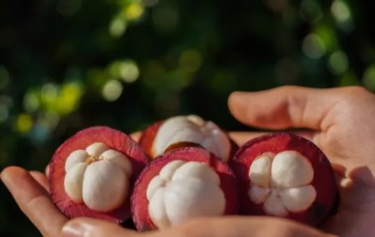 how to eat mangosteen