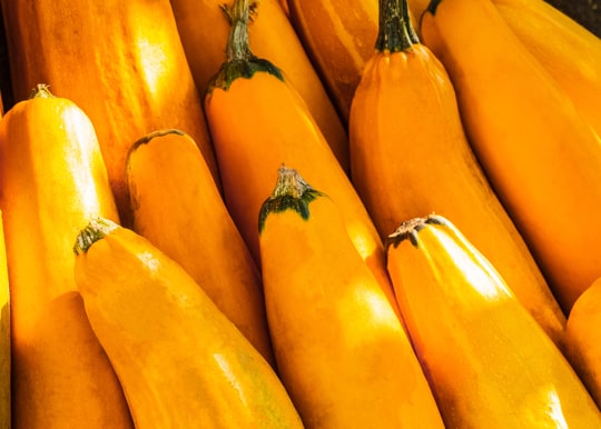 how to tell if yellow squash is bad