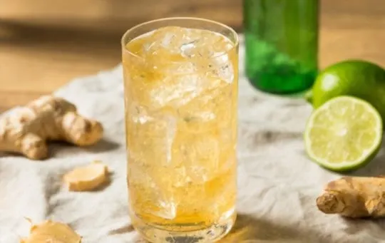 is ginger beer good for you