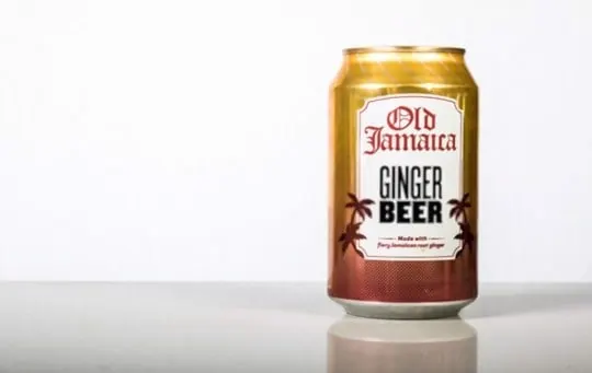 the best ginger beers to buy
