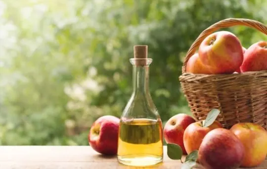 what does apple cider vinegar taste like