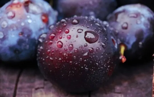 what fruit is similar to plum