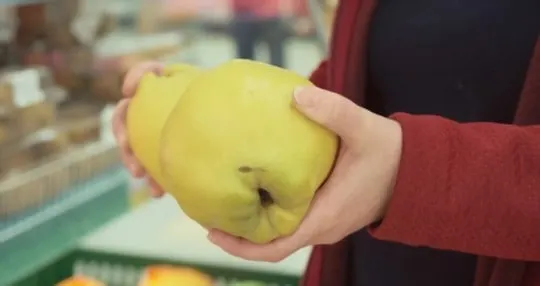 where to buy quince