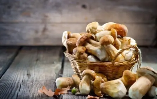how to freeze mushrooms