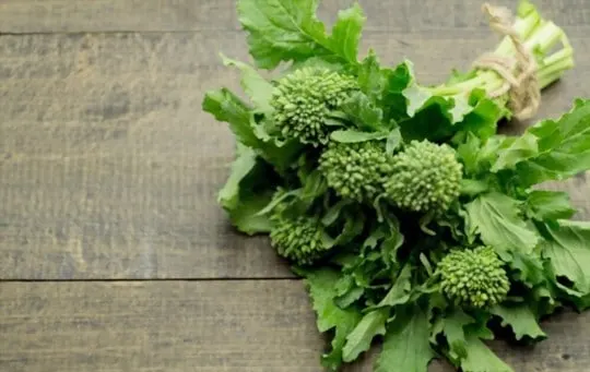 how to store broccoli rabe