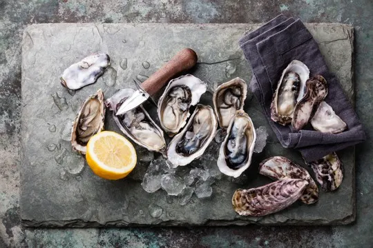 how to store fresh oysters
