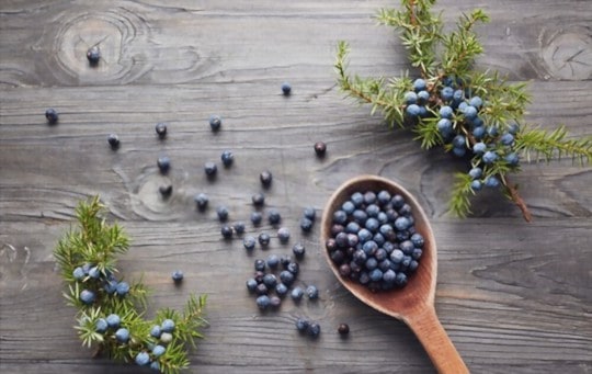 how to store juniper berry