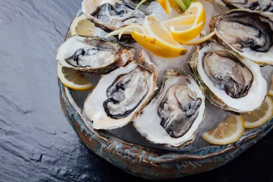 how to store oysters
