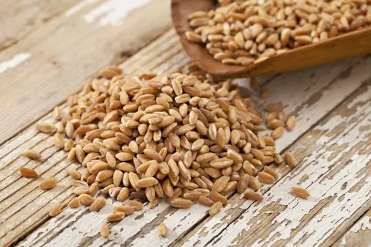 how to store wheat berries