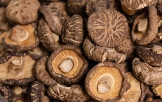 how to tell if dried mushrooms are bad