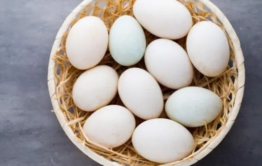 how to tell if duck eggs are bad
