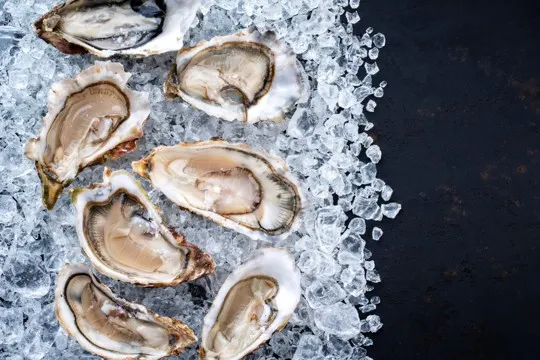 how to tell if oysters are bad