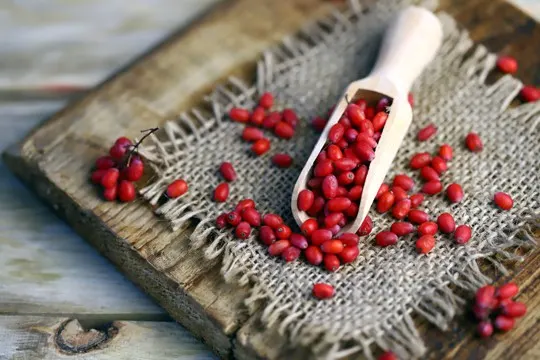 how to use barberries in recipes