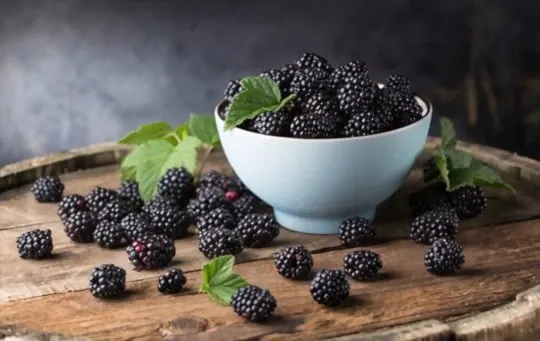 how to use blackberries