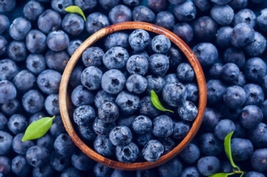 how to use blueberries in recipes