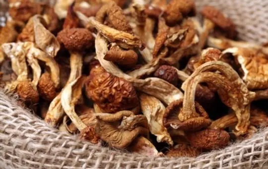 how to use dried mushrooms in recipes