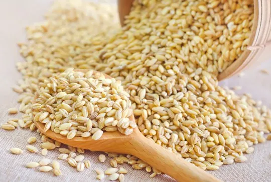 how to use wheat berries
