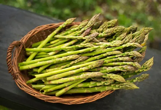 nutritional benefits of asparagus