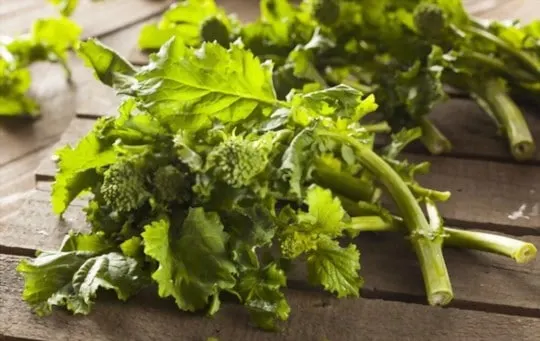 nutritional benefits of broccoli rabe