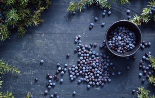 nutritional benefits of juniper berries