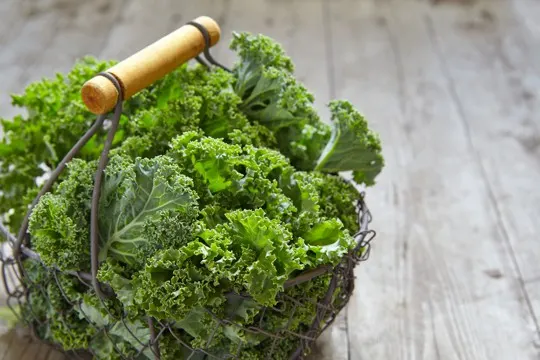 nutritional benefits of kale