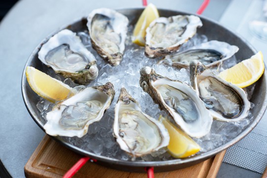 nutritional benefits of oysters