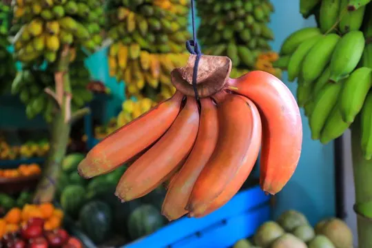 nutritional benefits of red banana