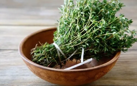 nutritional health benefits of thyme