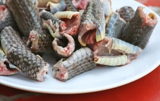 what does boa snake taste like