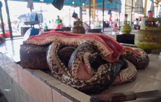 what does python snake taste like
