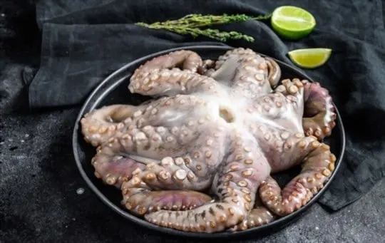 where to buy octopus