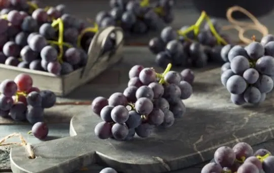 does freezing affect concord grapes