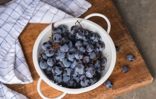 how to freeze concord grapes