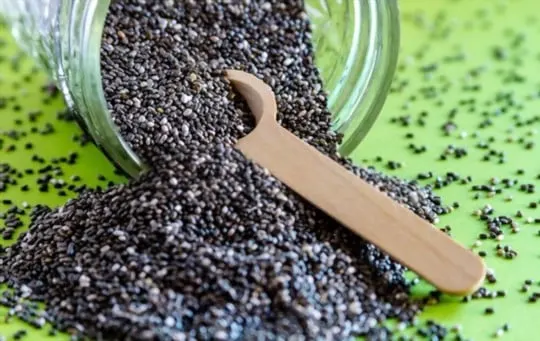 how to thaw frozen chia seeds