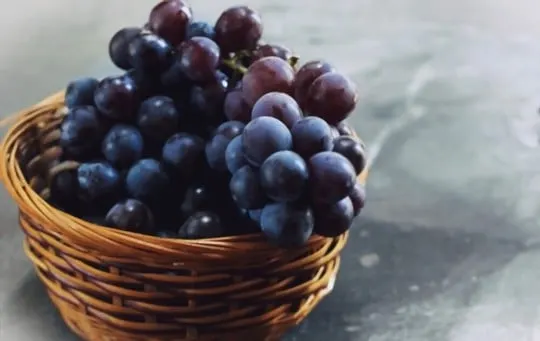 how to thaw frozen concord grapes