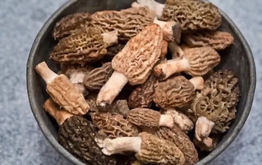 how to thaw frozen morel mushrooms