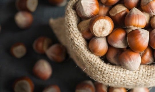 best substitutes for hazelnuts