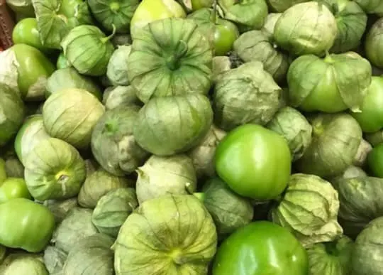 how to freeze tomatillos