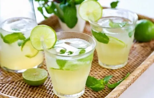 how to thaw frozen lime juice