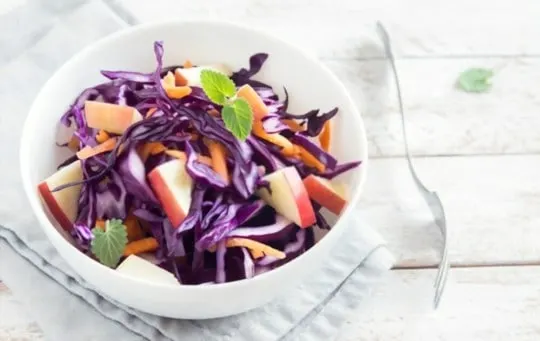 red cabbage coleslaw