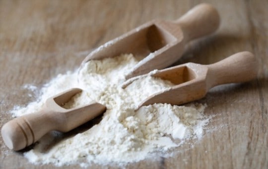 wholewheat flour and allpurpose flour