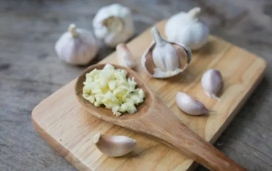 best substitutes for minced garlic